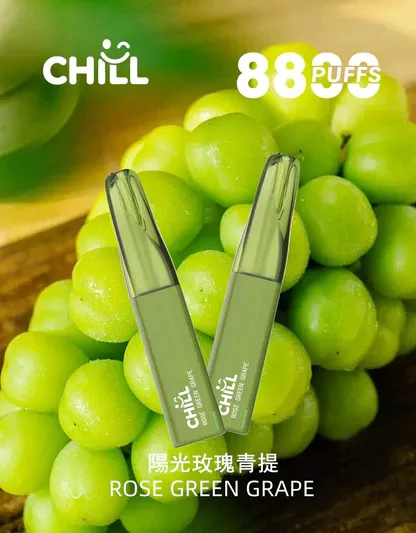 CHILL鴨嘴獸拋棄式電子煙 8800口｜12W強勁輸出 3%濃度 大煙霧層次口感 台灣現貨