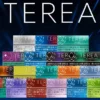 IQOS TEREA 日版煙彈｜27種口味 IQOS ILUMA 專用 日本原裝 台灣現貨