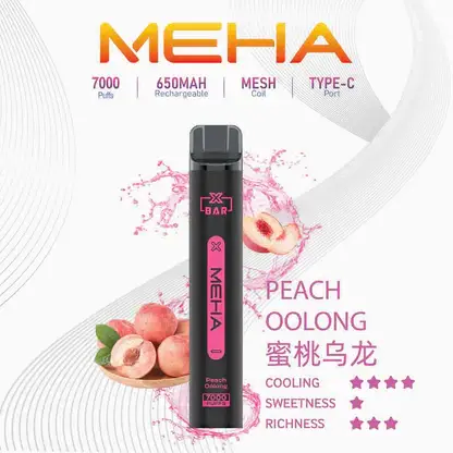 MEHA XBAR 魅嗨小黑條7000口拋棄式電子煙｜3%尼古丁鹽 850mAh電池 Mesh霧化技術 台灣現貨