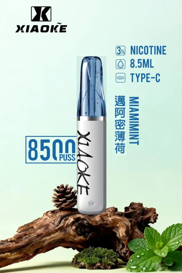 XIAOKE 梟客 8500口拋棄式電子煙｜3%尼古丁鹽配比 8.5ml儲油容量 Type-C充電設計 長效續航 台灣現貨
