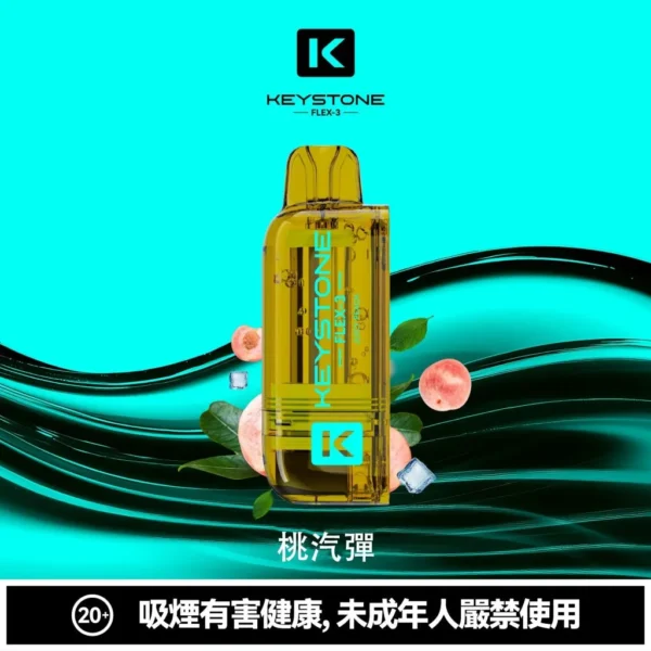 7d729f039d6becf89d2205e6b65db9c2-1024x1024.jpg KEYSTONE FLEX-3 鑰石 25000口磁吸換彈拋棄式電子煙套裝|22W/28W/40W三段功率調節 Mesh網狀芯 15ml透明油艙 1100mAh Type-C充電 台灣現貨【買一盒煙彈送主機】