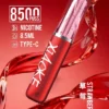 XIAOKE 梟客 8500口拋棄式電子煙｜3%尼古丁鹽配比 8.5ml儲油容量 Type-C充電設計 長效續航 台灣現貨