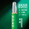 XIAOKE 梟客 8500口拋棄式電子煙｜3%尼古丁鹽配比 8.5ml儲油容量 Type-C充電設計 長效續航 台灣現貨